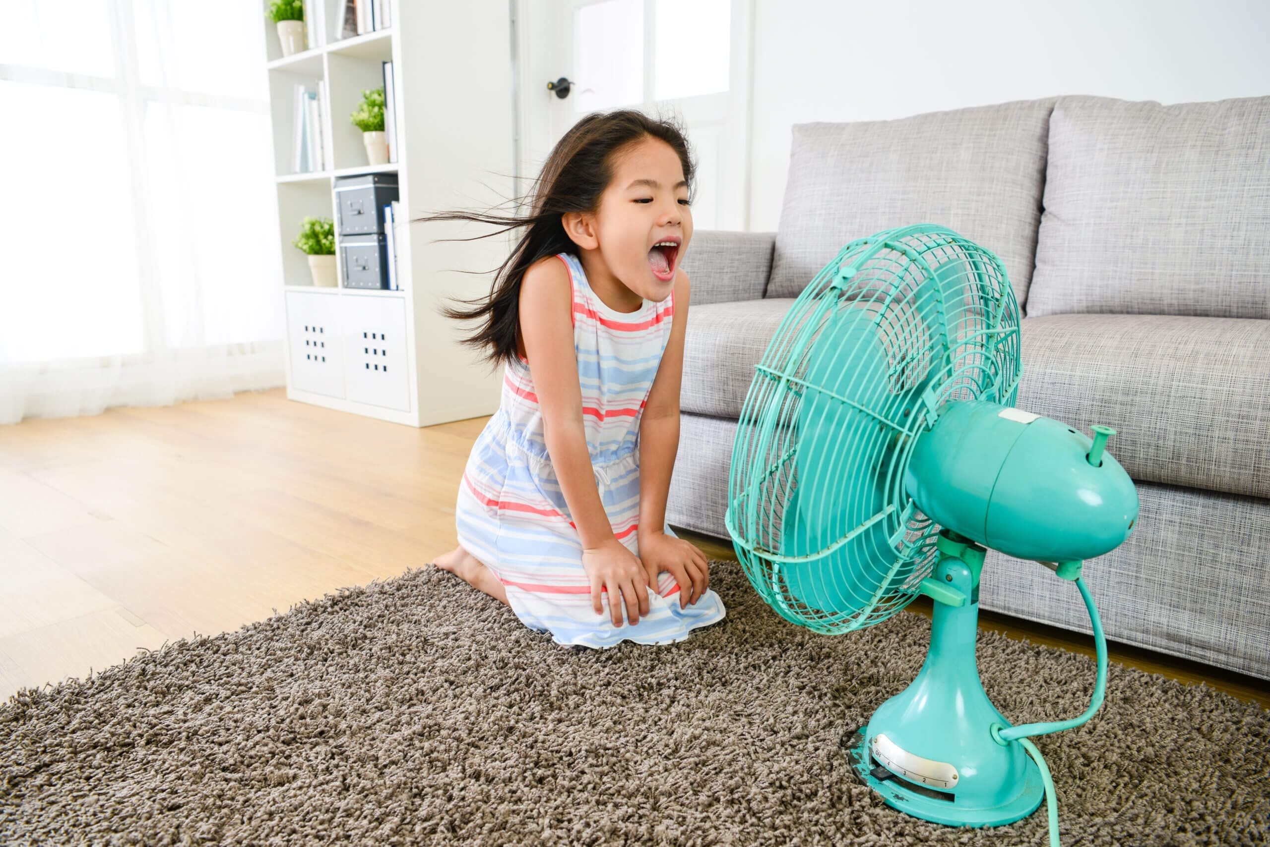 best whole-home ventilation system?