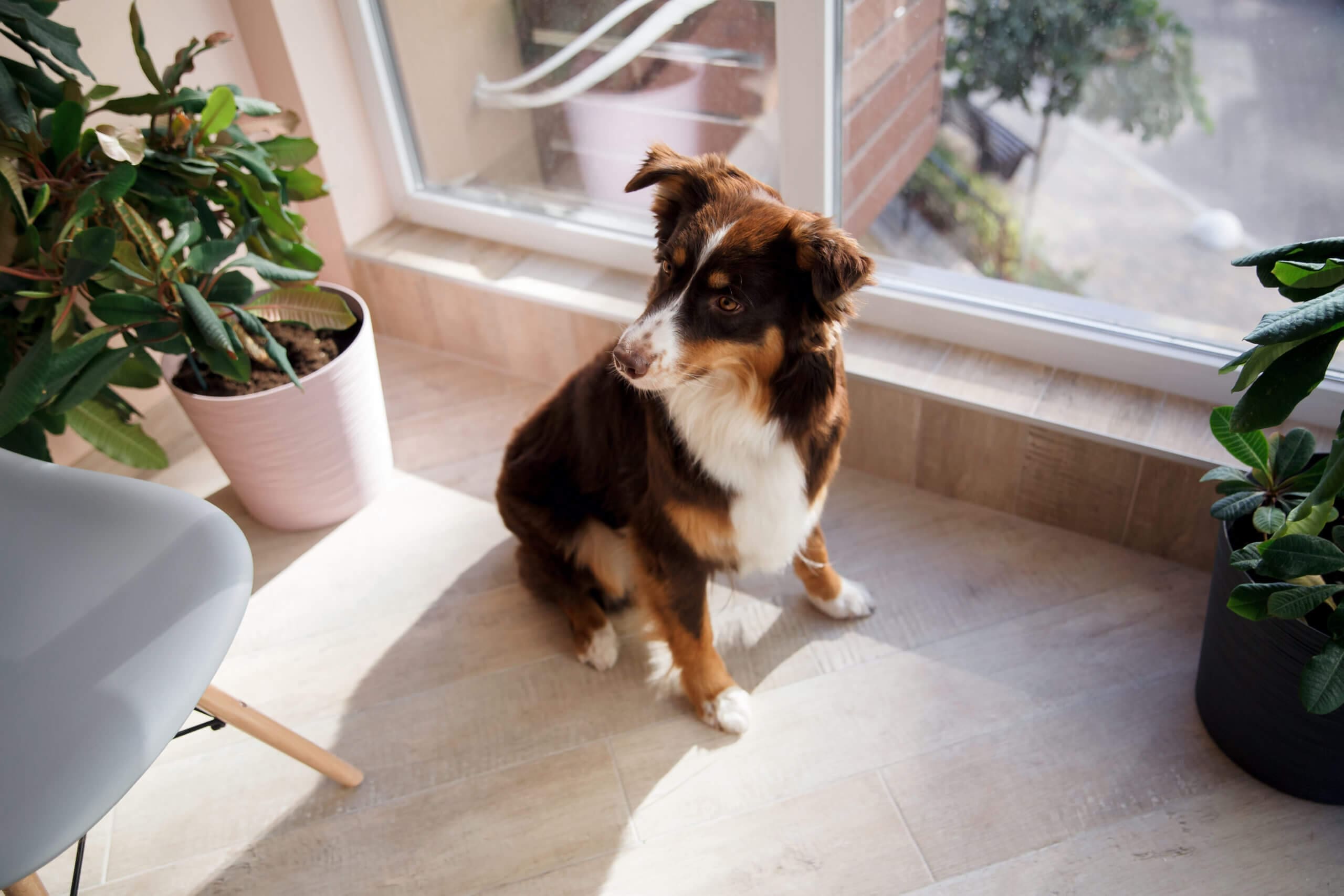 home ventilation