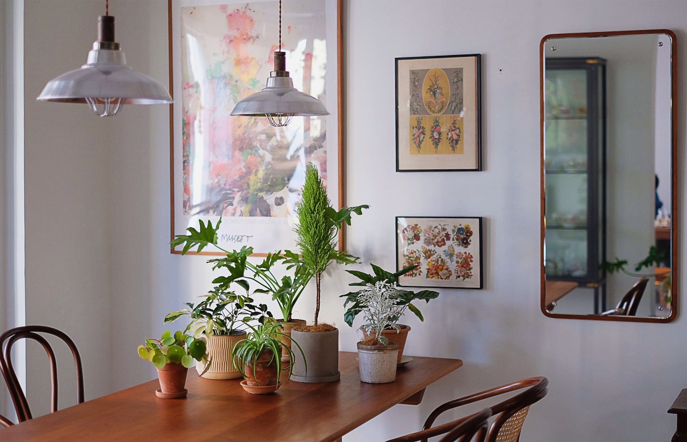 purifiers reduce spring allergies