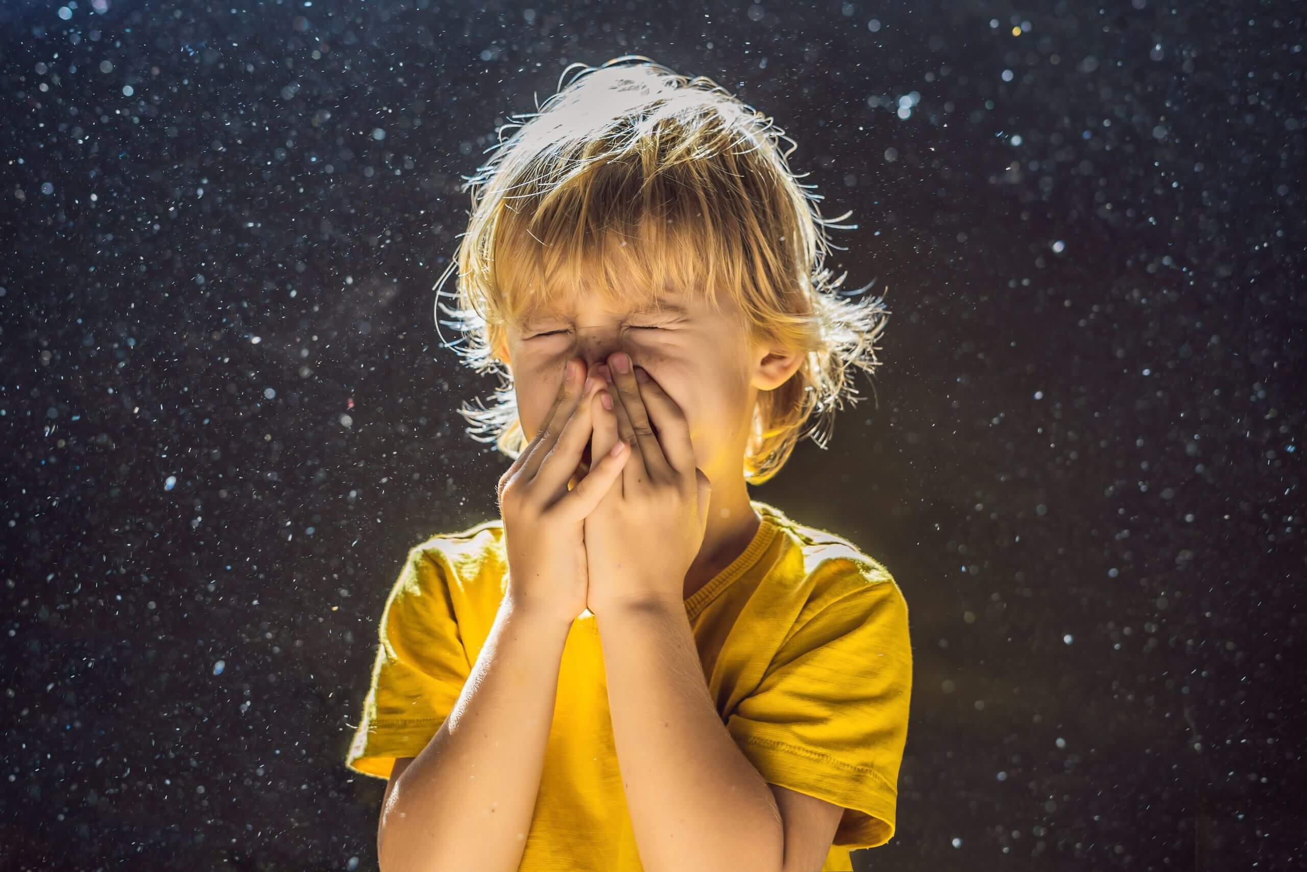 indoor air pollutants