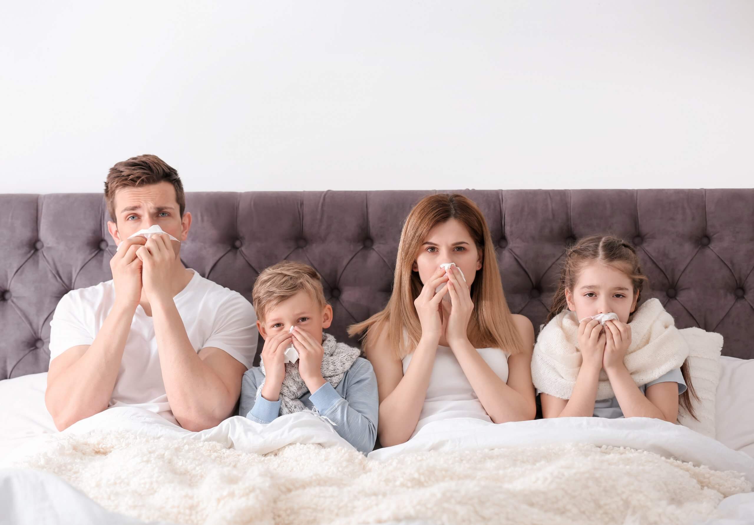 indoor summer allergies