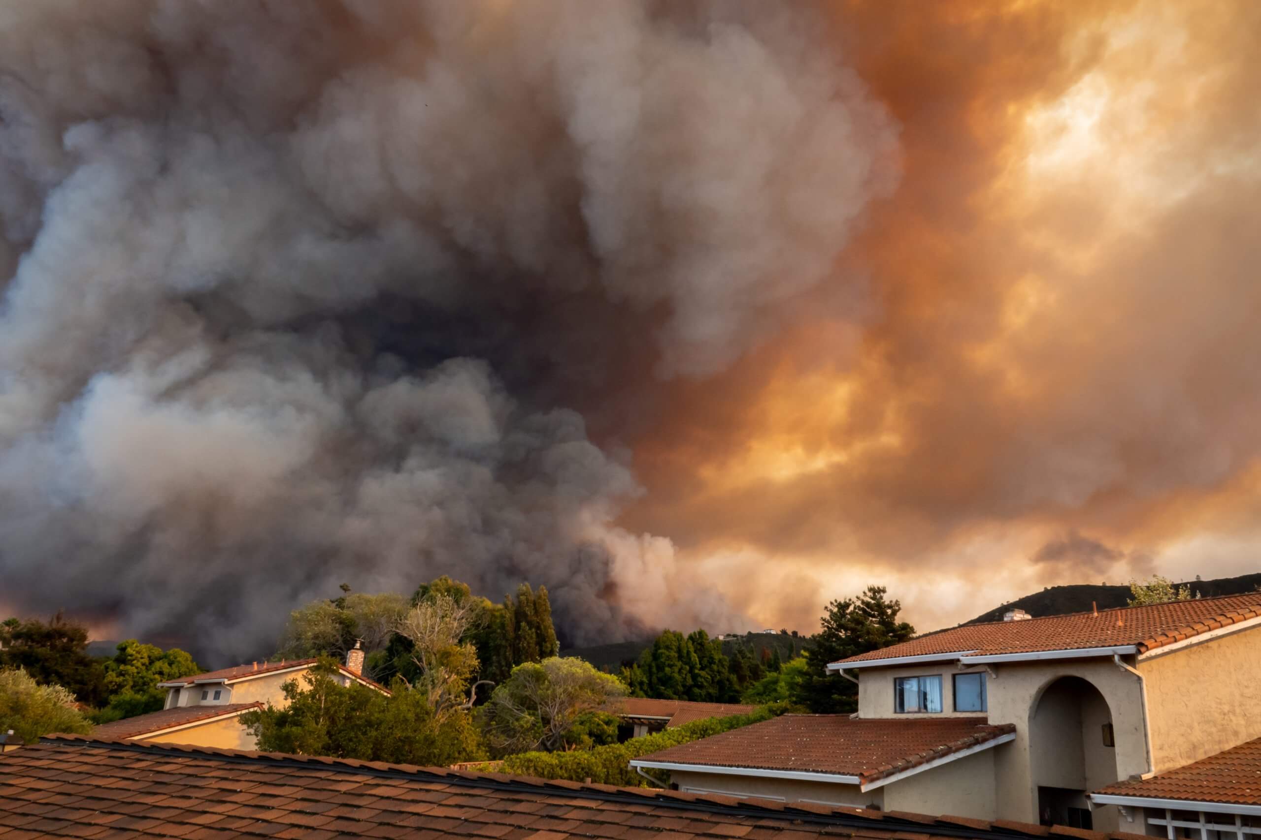 wildfire smoke