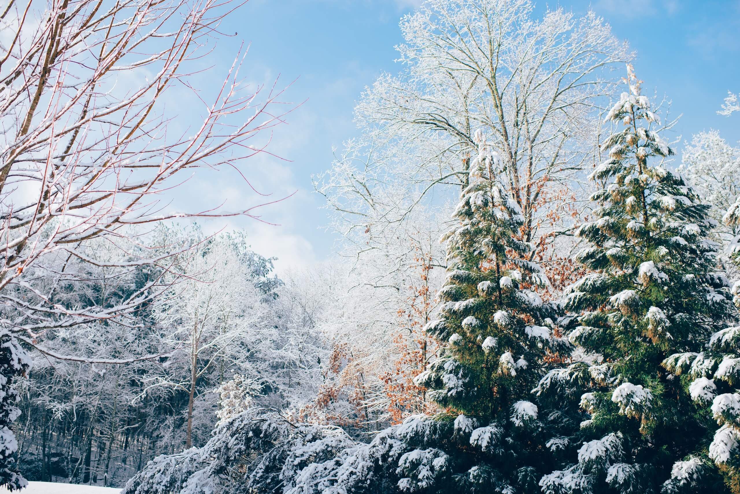 air pollution during winter
