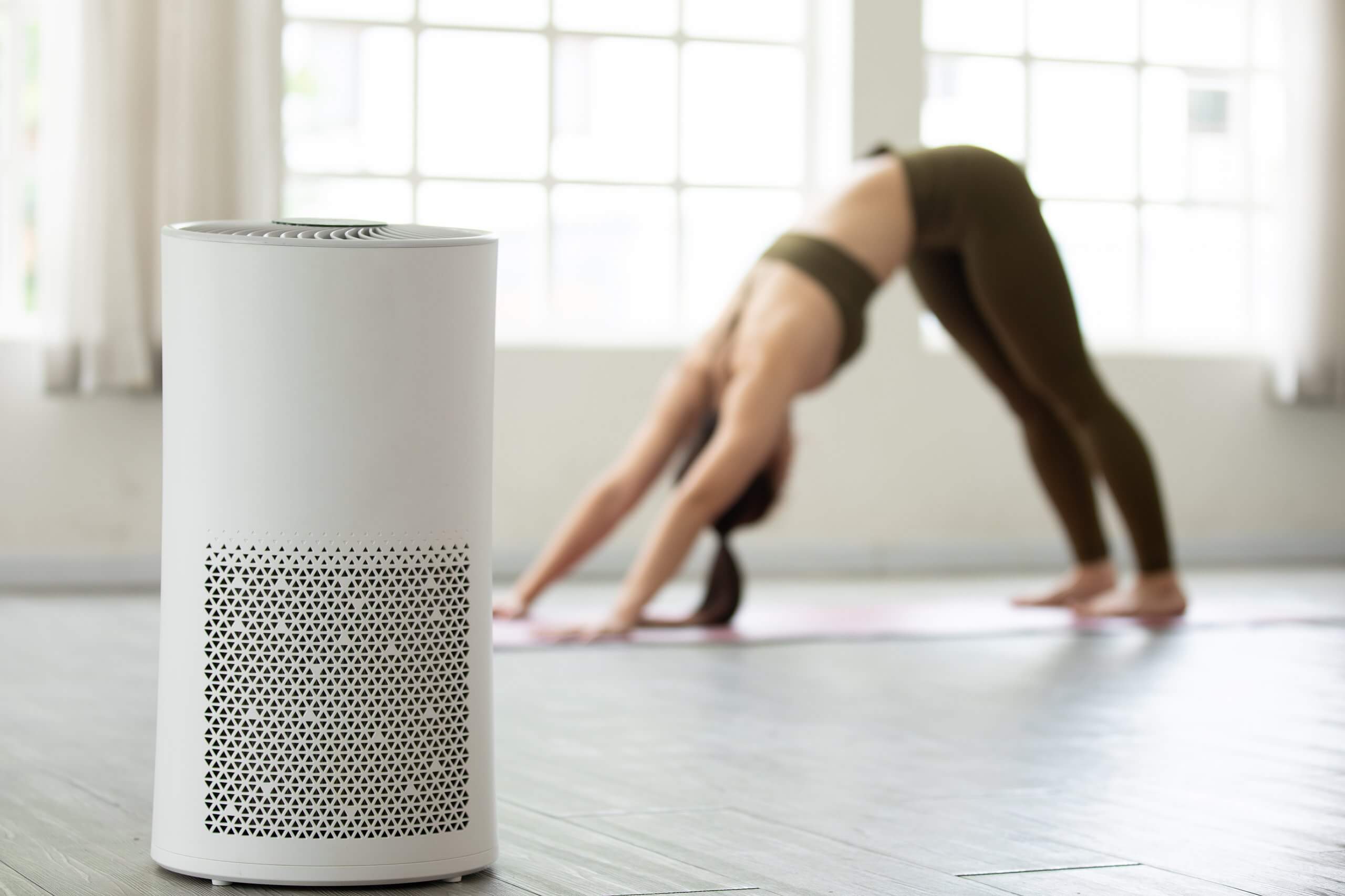 comparing active and passive air purification