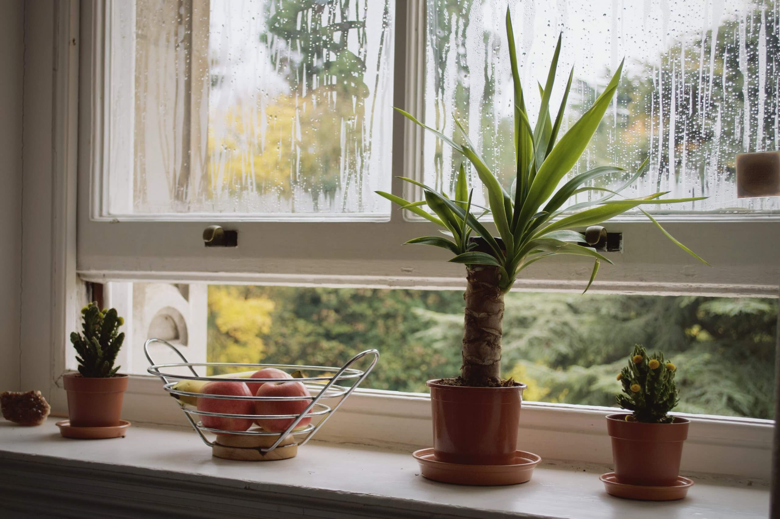 indoor moisture control