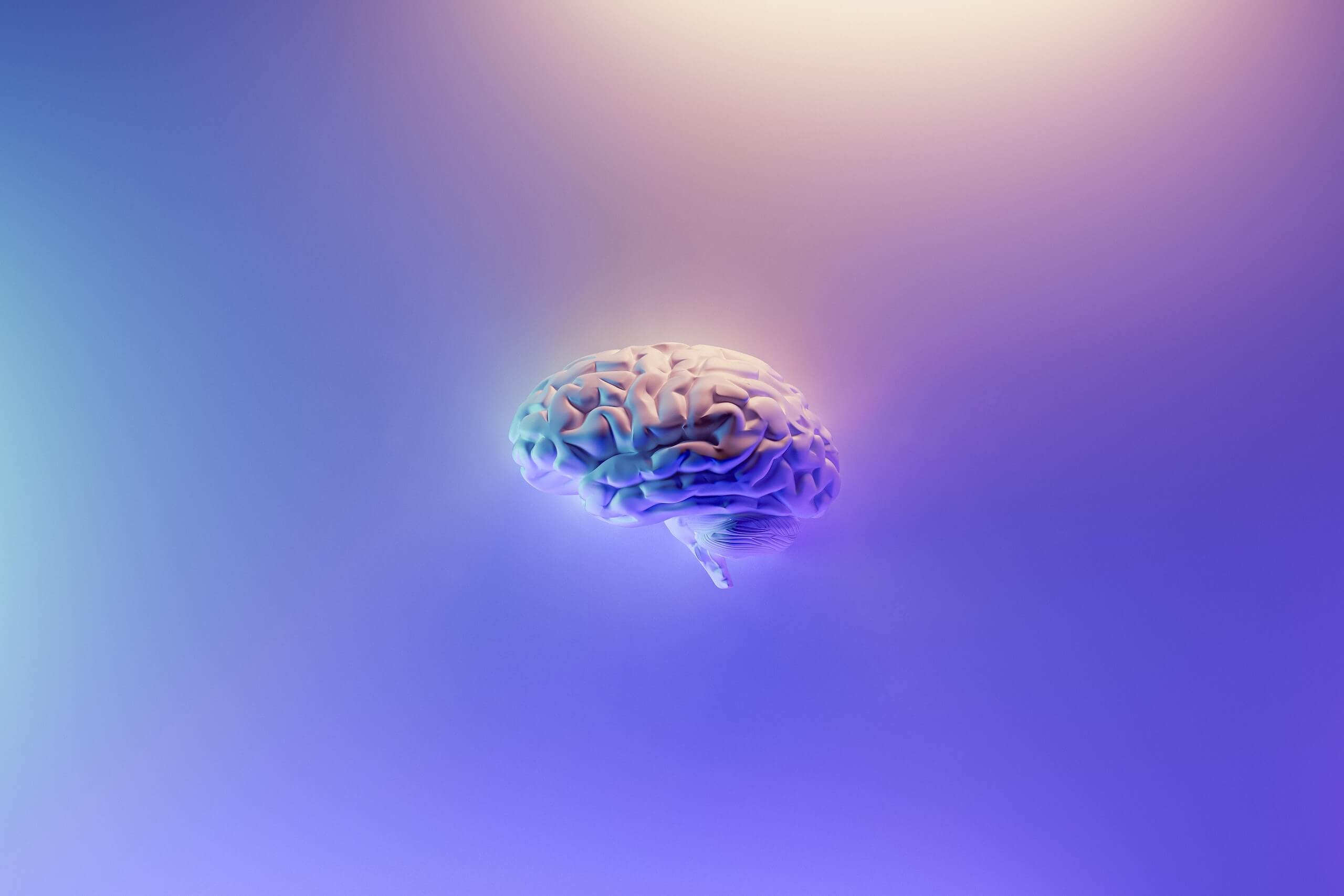 air pollution and brain health