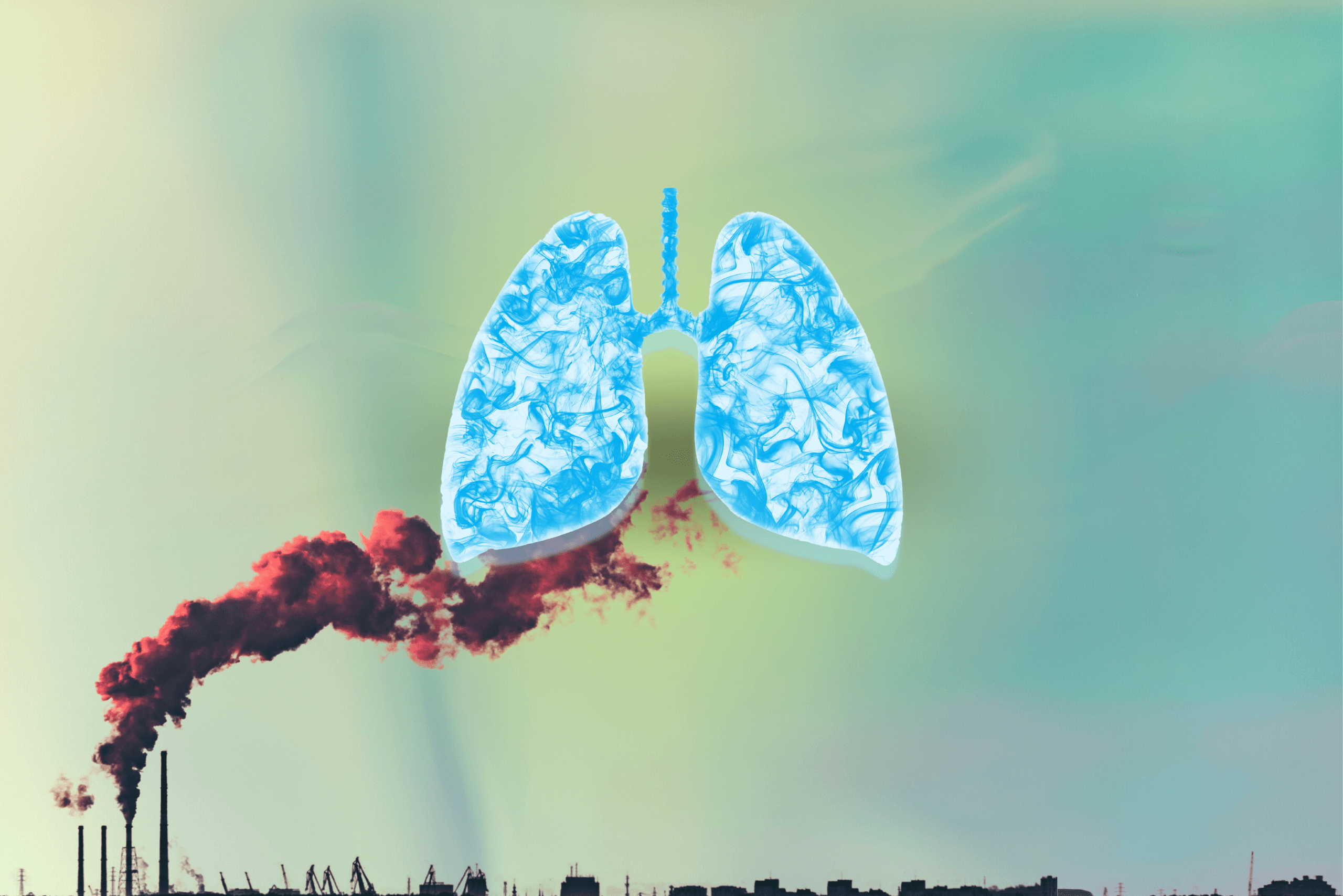 lung cancer air pollution exposure